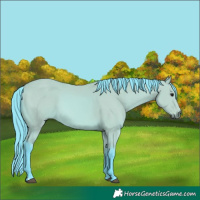 Horse Color:Watercolor Bay 
