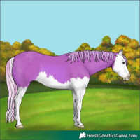 Horse Color:Watercolor Chestnut Splash 