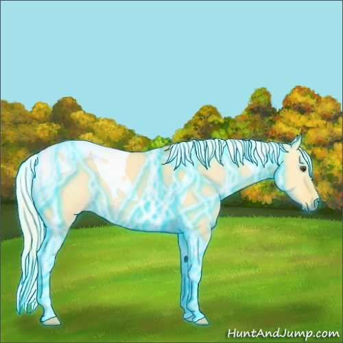 Horse Color:Thunderstruck Palomino Dun Tobiano