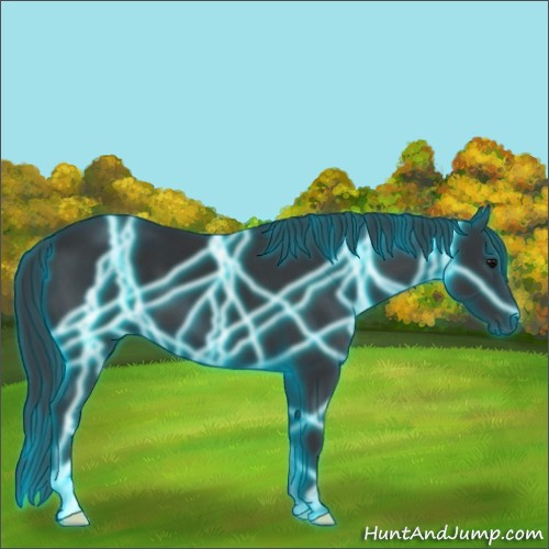 Horse Color:Thunderstruck Black 