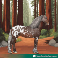 Horse Color:White Spotted Silver Brown Tobiano Appaloosa