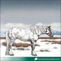 Horse Color:White Spotted Silver Brown Appaloosa 