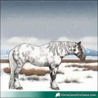 Horse Color:White Spotted Silver Brown Appaloosa 