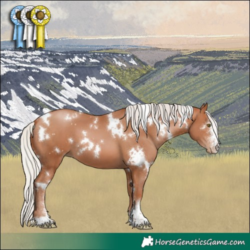 Horse Color:White Spotted Silver Brown Pearl Sabino 