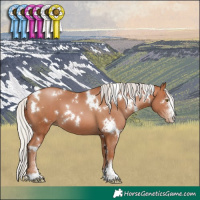 Horse Color:White Spotted Silver Brown Pearl Sabino
