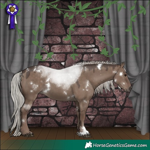Horse Color:White Spotted Silver Grullo 
