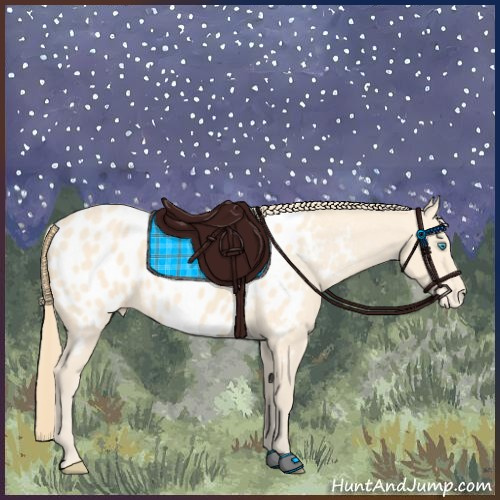 Horse Color:Perlino Appaloosa 