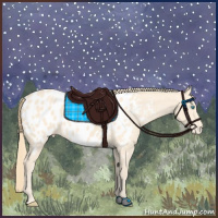 Horse Color:Perlino Appaloosa 