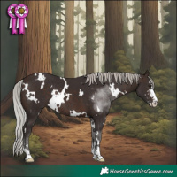 Horse Color:White Spotted Silver Brown Sabino Rabicano 