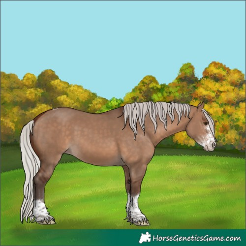 Horse Color:Silver Brown Dun Sabino Tobiano 