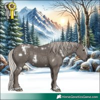 Horse Color:White Spotted Silver Black 