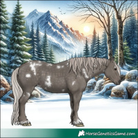 Horse Color:White Spotted Silver Black 