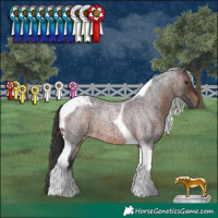 Horse Color:Brown Roan Tobiano