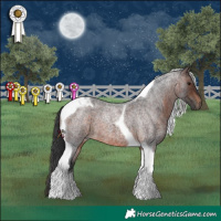 Horse Color:Brown Roan Tobiano