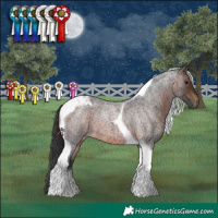 Horse Color:Brown Roan Tobiano