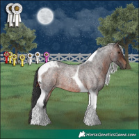 Horse Color:Brown Roan Tobiano 