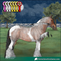 Horse Color:Brown Roan Tobiano 