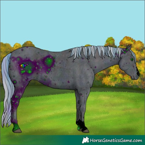 Horse Color:ERROR: UNKNOWN ANOMALY