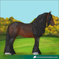 Horse Color:Brown 