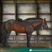 Horse Color:Brown 