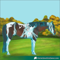 Horse Color:Thunderstruck Brown Tobiano 