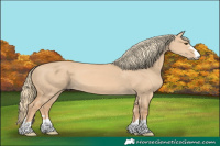 Horse Color:Red Dun Mushroom 