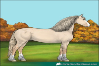 Horse Color:Red Dun Mushroom