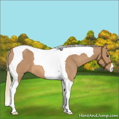 Horse Color:Chestnut Mushroom Tobiano 