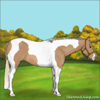 Horse Color:Chestnut Mushroom Tobiano 