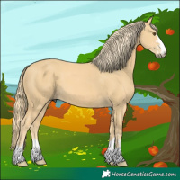Horse Color:Chestnut Mushroom 