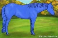 Horse Color:Watercolor Black 