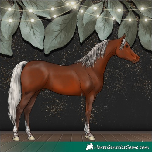 Horse Color:Silver Brown Sabino Tobiano