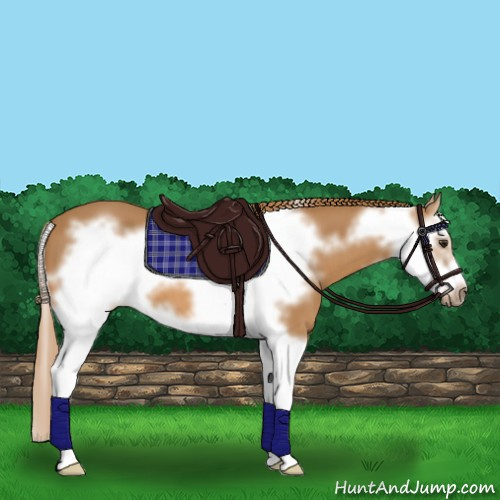 Horse Color:Chestnut Splash Frame 