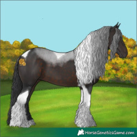 Horse Color:Brown Tobiano 