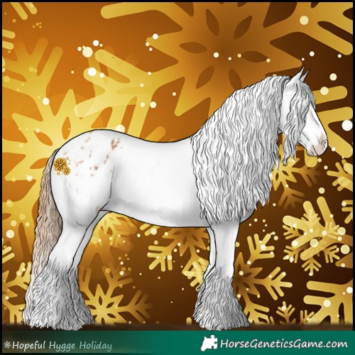 Horse Color:Chestnut Appaloosa  and Chestnut Appaloosa 