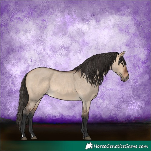 Horse Color:Bay Roan Dun 