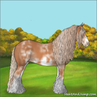 Horse Color:White Spotted Chestnut Sabino Frame 
