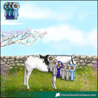 Horse Color:Bay Sabino Frame Appaloosa 