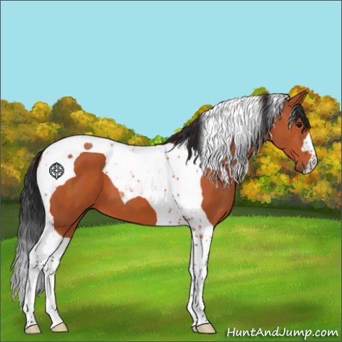 Horse Color:Brown Tobiano 