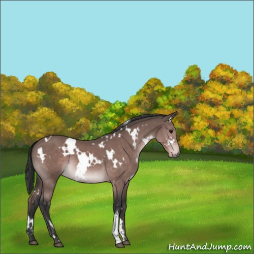 Horse Color:Platinum White Spotted Brown
