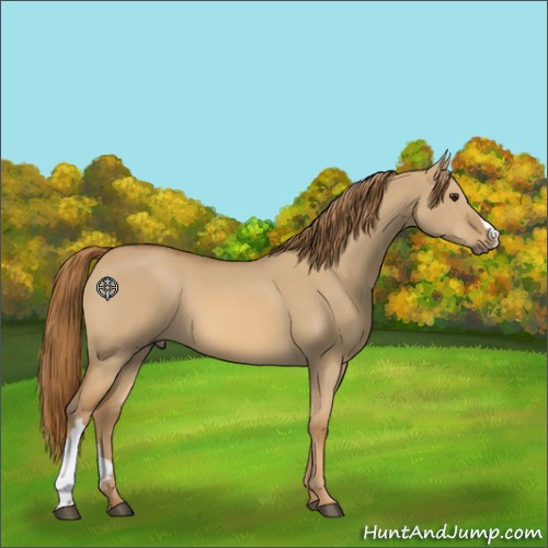 Horse Color:Red Dun 