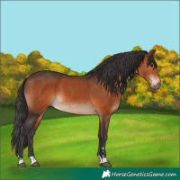 Horse Color:Brown 