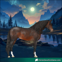 Horse Color:Brown 