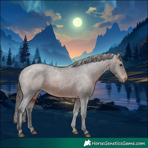 Horse Color:Brown Appaloosa 