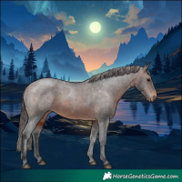 Horse Color:Brown Appaloosa 