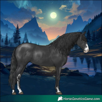 Horse Color:Black Sabino Rabicano 