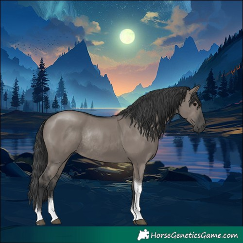 Horse Color:Grullo Tobiano Rabicano 