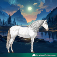 Horse Color:White Spotted Grullo Pearl Blanket Rabicano 