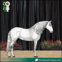 Horse Color:Gray White Spotted Silver Grullo Sabino