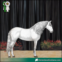 Horse Color:Gray White Spotted Silver Grullo Sabino 